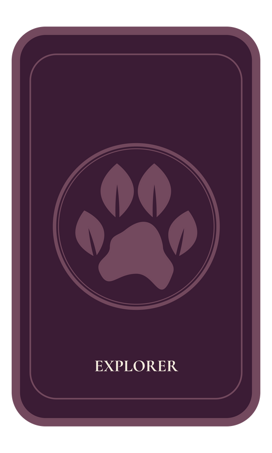 Explorer — The Expedition Archive