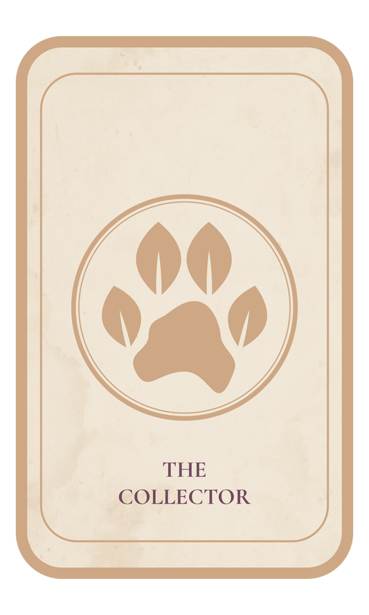 The Collector — The Expedition Archive